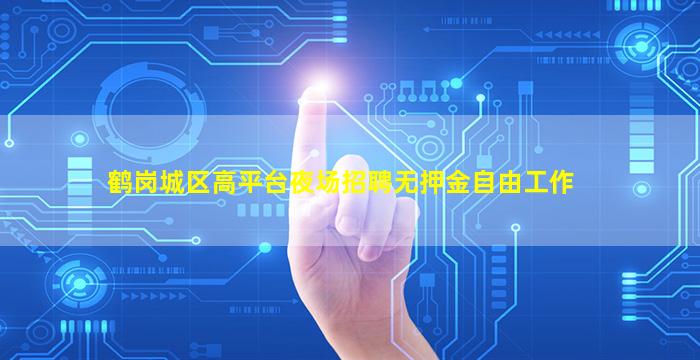 鹤岗城区高平台夜场招聘无押金自由工作